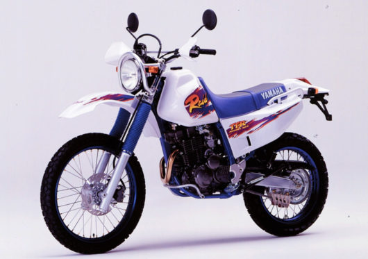 Yamaha Raid 1995 250cc - 模型/プラモデル